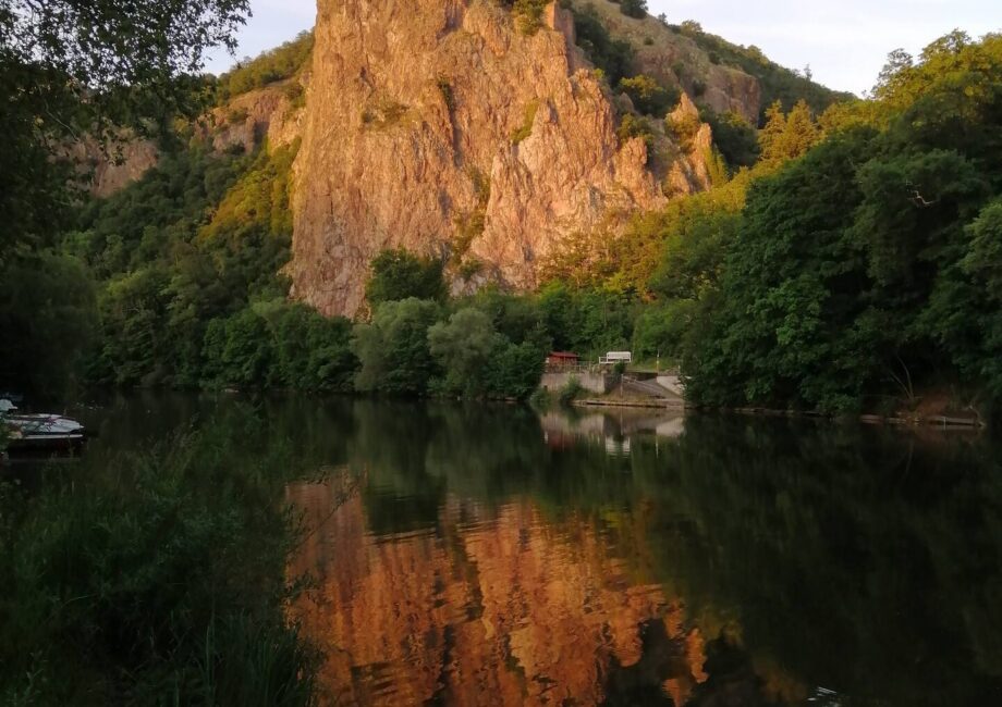 8e2e737c-e789-44e5-bef7-f60773de0314