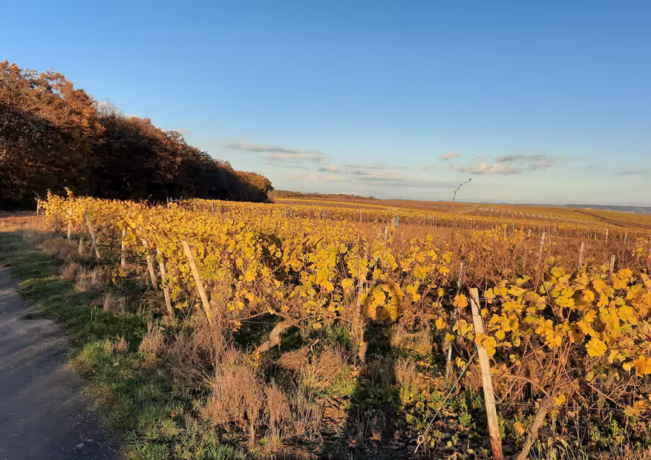 c40059a4-cafa-4eb4-8162-19e212526ea5