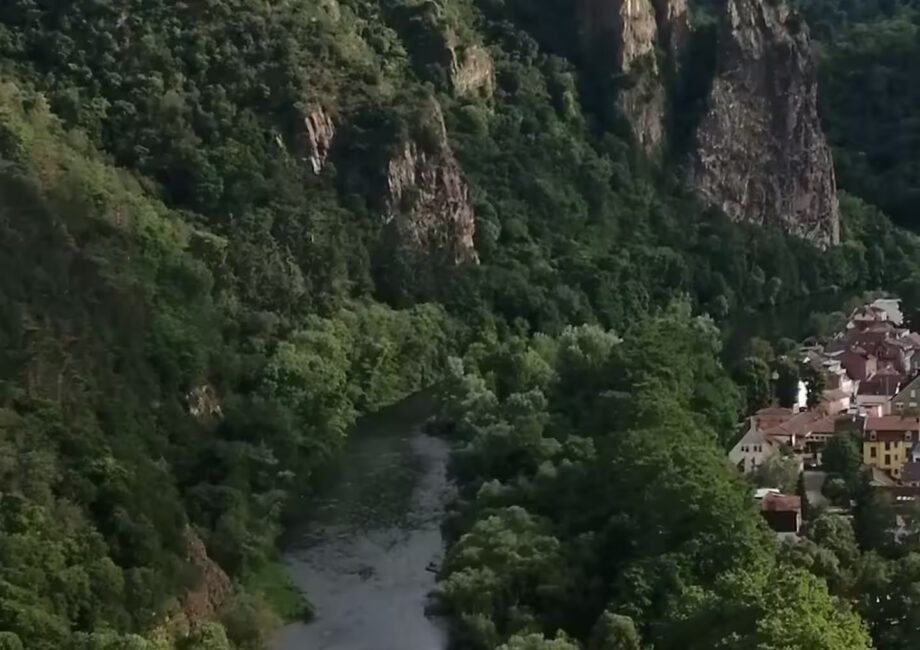 ee28d9c3-9972-4207-b955-bc256e994926