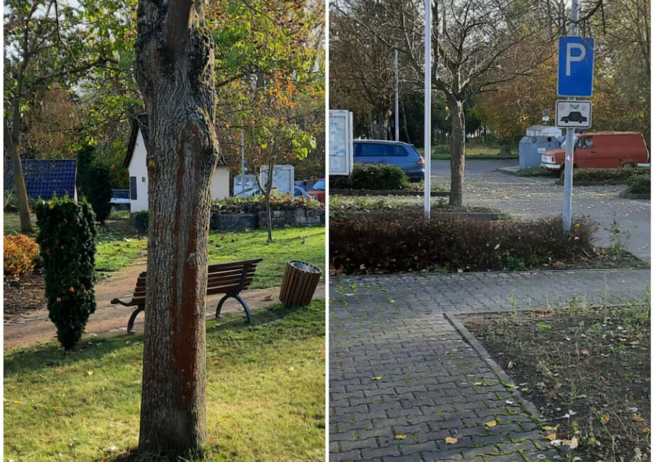 f64981e6-8aad-4283-9bd2-4d08de9a997c (1)