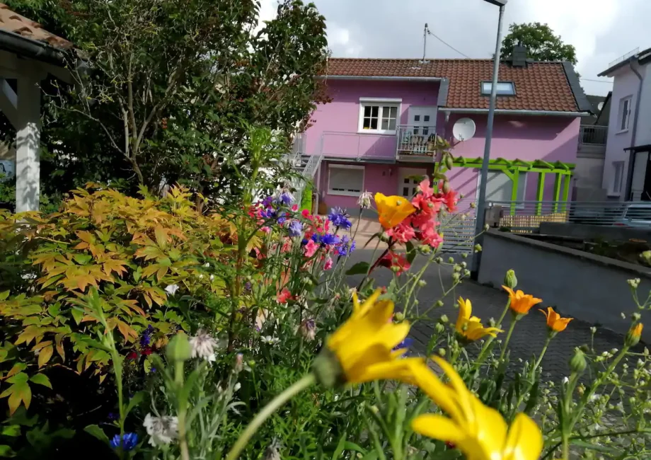 ff706114-8e8b-43b1-9f91-59220b7719ff